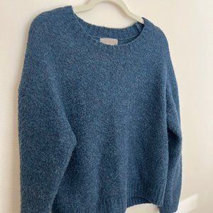 Everlane Blue Sweater